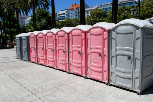 Best Portable Restrooms for Agricultural Sites  in Nellysford, VA